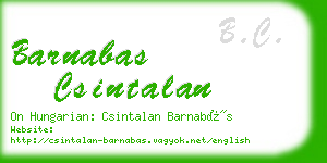 barnabas csintalan business card